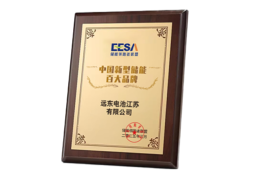 中國新型儲能百大品牌